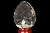 Septarian Dragon Egg Geode - Black Crystals #83194-1